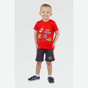 Комплект для мальчика (футболка+шорты) BASIA арт.Н3553-8173