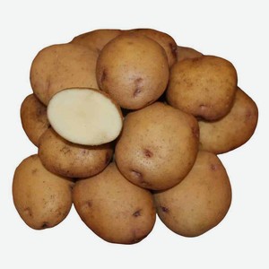 Клубни Картофель семенной Синеглазка, 2 кг