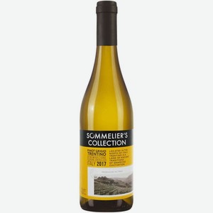 Вино Sommelier s Collection Pinot Grigio Trentino белое сухое 12.5% 0.75л