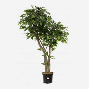 Растение искусственное Greener Фикус Луру, 120 см