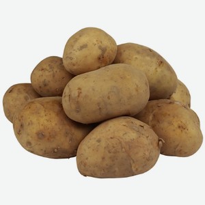 Картофель вес, АИ Агроинвест