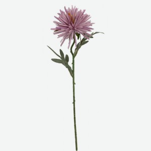 Цветок искусственный Хризантема цвет: фиолетовый, 50 см