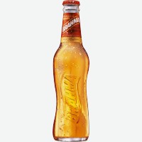 Пиво светлое   Brahma  , 4,3%, 0,45 л