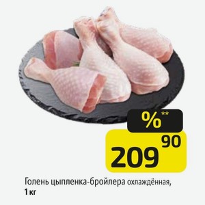 Голень цыпленка-бройлера охлаждённая, 1 кг