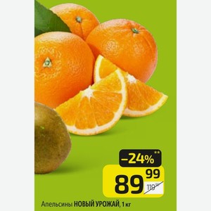 Апельсины НОВЫЙ УРОЖАЙ, 1 кг
