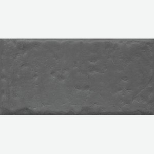 Плитка Kerama Marazzi Граффити 19067 20x9,9 см Темно-серый