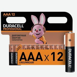 Duracell Батарейки DURACELL Professional ААА/LR03 бл/12шт