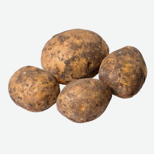 Картофель вес 1.45 кг