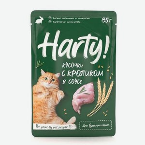 Корм для кошек Harty 85г с кроликом для взрослых кусочки в соусе консервированный