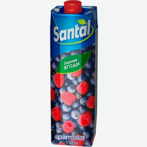 Напиток сокосодержащий Сантал лесные ягоды Пармалат т/п, 1,05 л