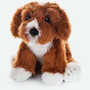 Мягкая игрушка MaxiLife, Собака Кавапу, 30 см арт.MT-TSC0820192-30