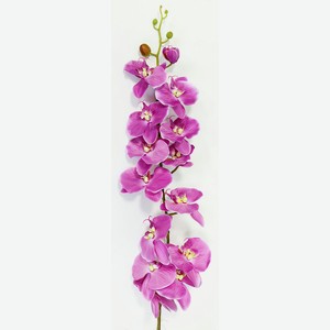Орхидея Фаленопсис одиночная розовая, h 124 см