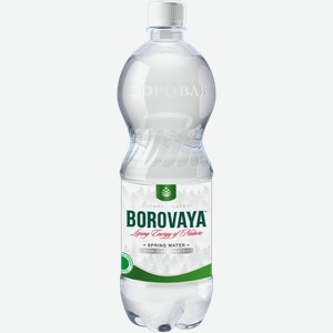 Мин вода негаз рн 7,56 Боровая лечебно-столовая Беларусь торг п/б, 1 л
