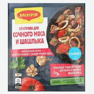 Приправа Maggi Для сочного мяса и шашлыка, 20 г