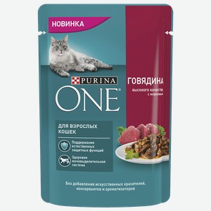 Корм для кошек PURINA® ONE говядина-морковь, 75г