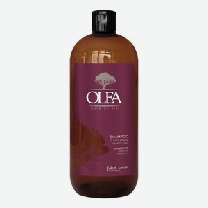 Шампунь для волос на основе арганового и льняного масла Olea Pure Origin Shampoo: Шампунь 1000мл