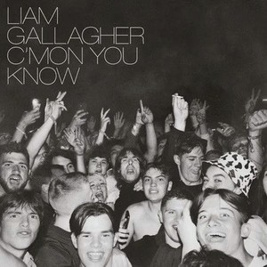 Виниловая Пластинка Gallagher, Liam C’Mon You Know (0190296423932)