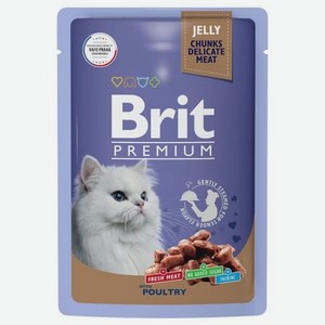 Корм для кошек Brit 85г Premium ассорти из птицы в желе