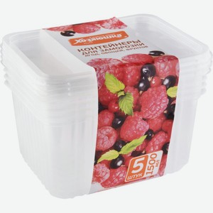 Контейнеры для заморозки ягод, овощей, фруктов Хозяюшка Мила 19×14,5×10 см, 1500 мл, 5 шт.