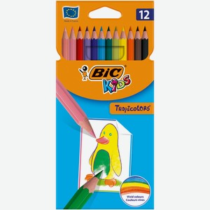 Цветные карандаши BIC KIDS, 12цв