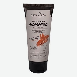 Разглаживающий шампунь для непослушных волос Smoothing Shampoo 200мл