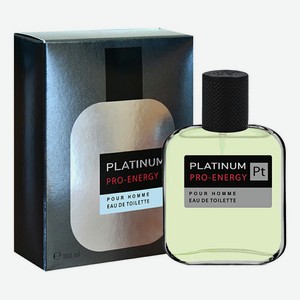 Туалетная вода мужская Today Parfum Pro-Energy Platinum 100 мл