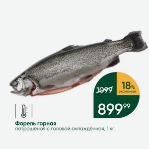 Форель горная потрошёная с головой охлаждённая, 1 кг в магазине ...