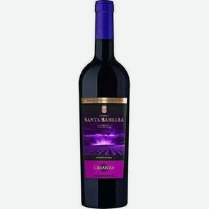 Вино Кастильо Санта Барбара Крианса Красное Сухое 15% 0,75л