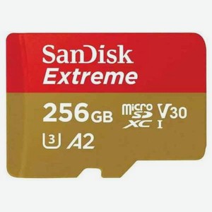 Карта памяти SanDisk Extreme microsd UHS I Card 256GB SDSQXAV-256G-GN6MN
