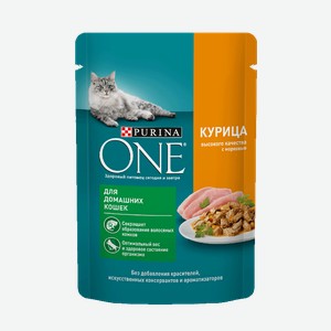 Корм для домашних кошек PURINA® ONE курица-морковь, 75г