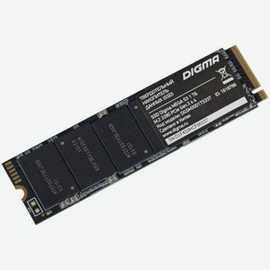 Твердотельный накопитель(SSD) 1Tb DGSM3001TS33T Digma