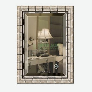 Зеркало с фацетом в багетной раме Evoform серебряный бамбук 73 мм 53х73 см