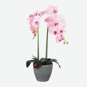 Цветок искусственный в горшке Fuzhou light орхидея пастельно-розовая, 62 см