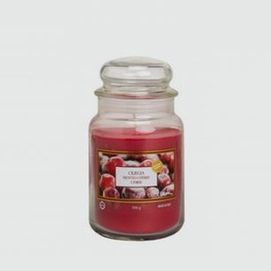 Ароматическая свеча ALADINO Ice Cherry 510 гр
