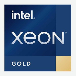 Процессор Intel Xeon GOLD5315Y S4189 OEM (CD8068904665802 IN)