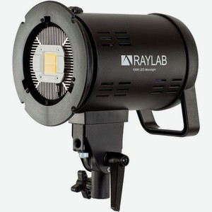 Осветитель светодиодный Raylab RL-100 Sunlight 5600K