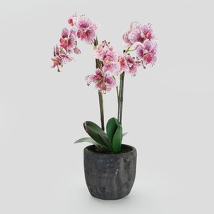 Цветок искусственный Орхидея в горшке 2 цвета 54 см