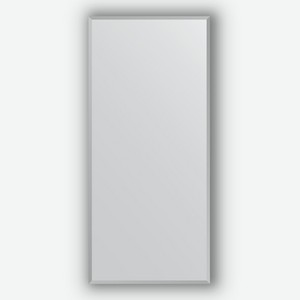 Зеркало в багетной раме Evoform хром 18 мм 66х146 см