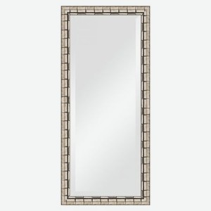 Зеркало с фацетом в багетной раме Evoform серебряный бамбук 73 мм 73х163 см