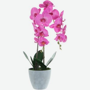 Цветок искусственный в горшке Fuzhou Light орхидея 2 цвета 62 см