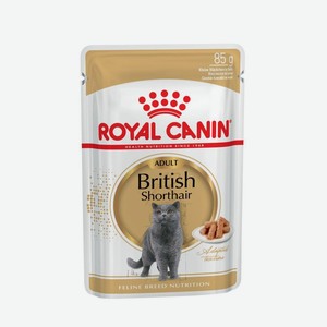 ROYAL CANIN 85гр для кошек Британская короткошерстная (соус) (пауч)