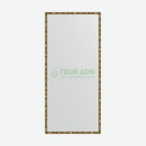 Зеркало в багетной раме Evoform золотой бамбук 24 мм 67х147 см
