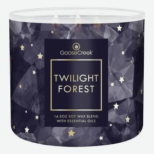 Ароматическая свеча Twilight Forest (Сумерки леса): свеча 411г