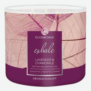 Ароматическая свеча Lavender & Chamomile (Лаванда и ромашка): свеча 411г