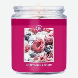 Ароматическая свеча Merry Berry & Bright (Веселые и яркие ягоды): свеча 198г
