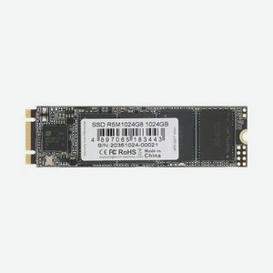 Накопитель SSD AMD 1Tb (R5M1024G8)