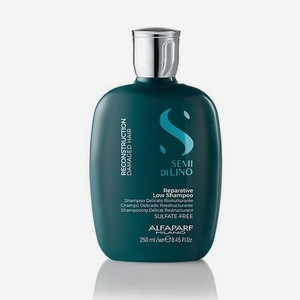 ALFAPARF MILANO Шампунь для поврежденных волос SDL