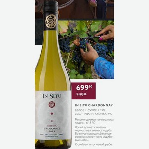 Вино In Situ Chardonnay Белое Сухое 13% 0.75 Л Чили, Аконкагуа