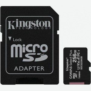 Карта памяти microsdxc Class 10 UHS-I U1 256Gb SDCS2/256GB Kingston