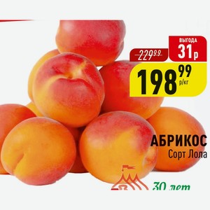 Жасырын камера дәретхана порно галереясы Luckysharm жеке секс видеосы